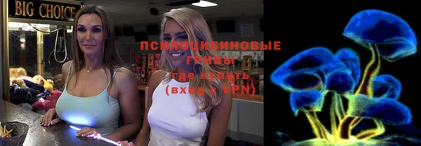 прущий лед Новозыбков