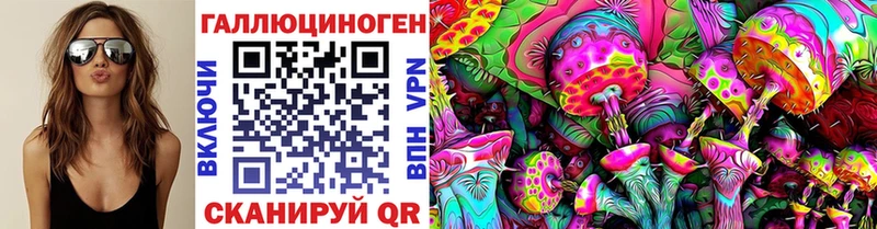Псилоцибиновые грибы Psilocybine cubensis  Вичуга 