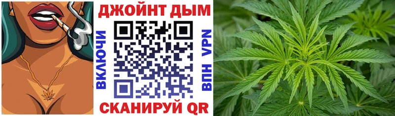 купить наркоту  Вичуга  Шишки марихуана планчик 